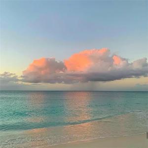 成人性生交大片免费看无删减版
